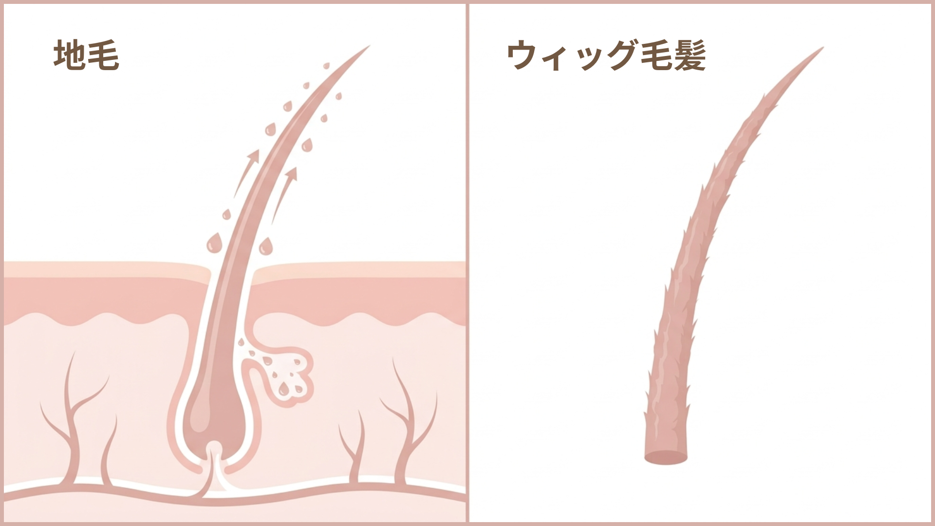 皮脂補給の無い人毛ウィッグ毛
